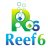 Reef6